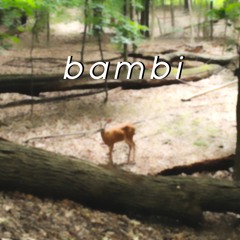 Bambi (Hippo Campus Cover)