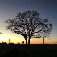 Strength in the Lord