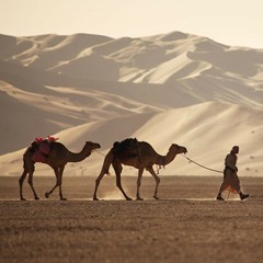 Desert Trap Remix