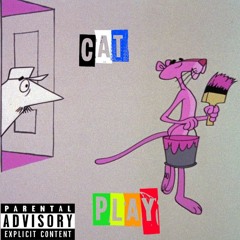 Cat Play ft.Goose