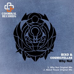 Bixo & CosmicFellas  - Why Not (Original Mix)