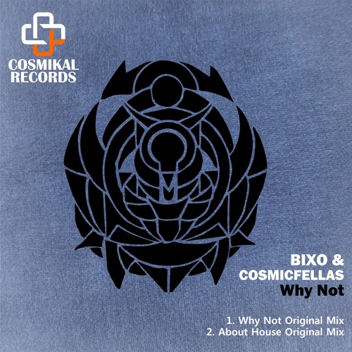 Bixo & CosmicFellas  - Why Not (Original Mix)