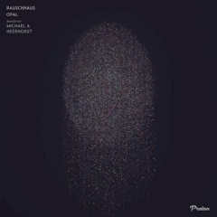 Rauschhaus - Opal [Proton Music] 128 kbps