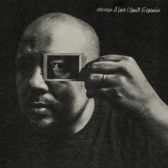 dBridge "Your Bit Crushed Heart" [First Floor Premiere]
