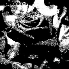 Мёртвая Роза