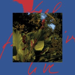 Massimiliano Pagliara – Vilaggio Paradiso (On Acid) (Snippet)