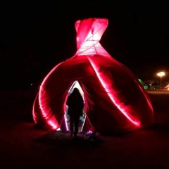 Burning Seed 2018 - Renaissance de La Belle Epoque