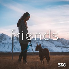 B3RG - Friends (Alan Walker Style)