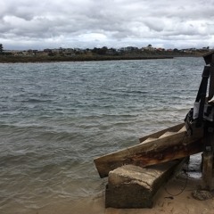 Onkaparinga River, Port Noarlunga (hydrophone pair) - Oct 2018