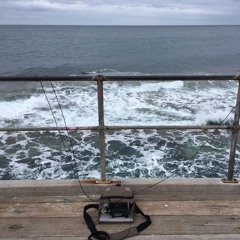 Pt Noarlunga Jetty / reef (Aquarian H2a hydrophone pair) - Oct 2018