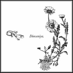 We Are All Immigrants - Bergsonist