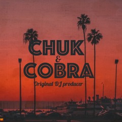 Hurting Ft. Alunageorge ( Chuk&Cobra remix)