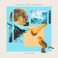 Cadmium & Timmy Commerford - Feel It Too