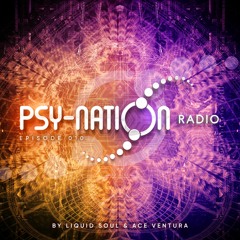 Psy-Nation Radio #010 - incl. Electric Universe Mix [Ace Ventura & Liquid Soul]