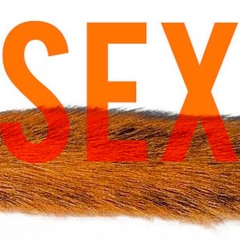 SEX!