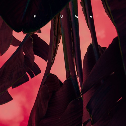 Premiere: Andrew Case - Dendera (L.Ø.C Remix) [Nie Wieder Schlafen]