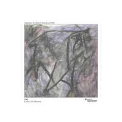 Dip - Echo Of Silence (Spitzer Ambient Series 2018)