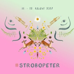 Strobopeter @ 3000 Grad Festival ROSA