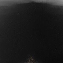 A Shimmer in the Murk