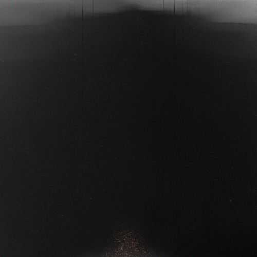 A Shimmer in the Murk
