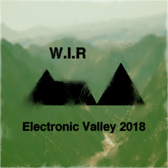 ELECTRONIC VALLEY 2018