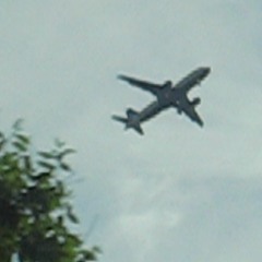 (」ﾟﾛﾟ)｣NOOOooooo━