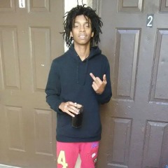 Dgm S-Fly Reflecting