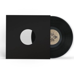 Es.tereo - Earthbound EP (12" Vinyl & Digital Out Now)