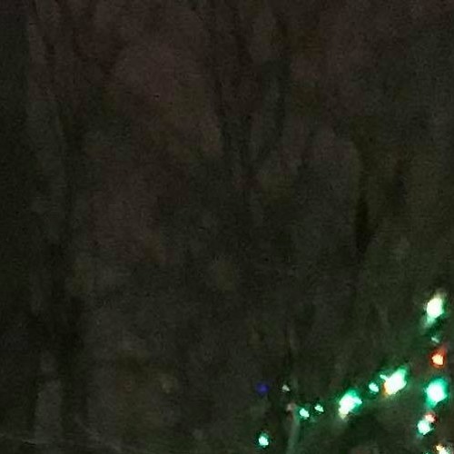 praise the lord (day 11)