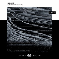 Numatic - Raider