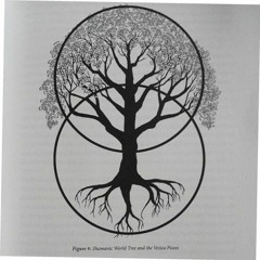 Gofio Pleyah - Blink