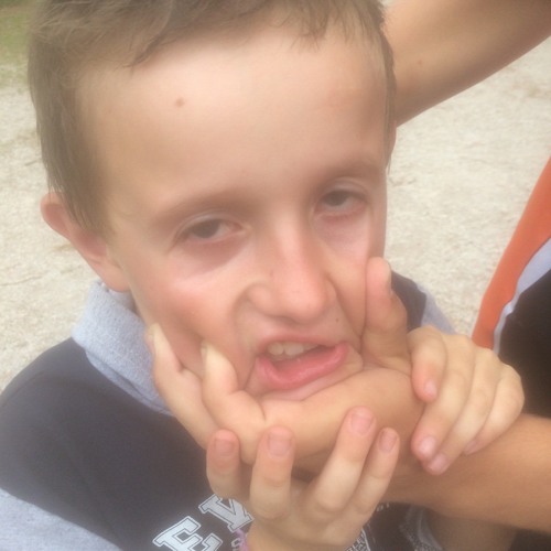 Баребух фото