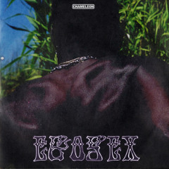 Chameleon (Official Audio)