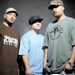 Parazitii - In Focuri (ECHO MashUp)