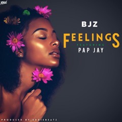 Feelings feat. Pap Jay (Prod. by Eddiebeatz)