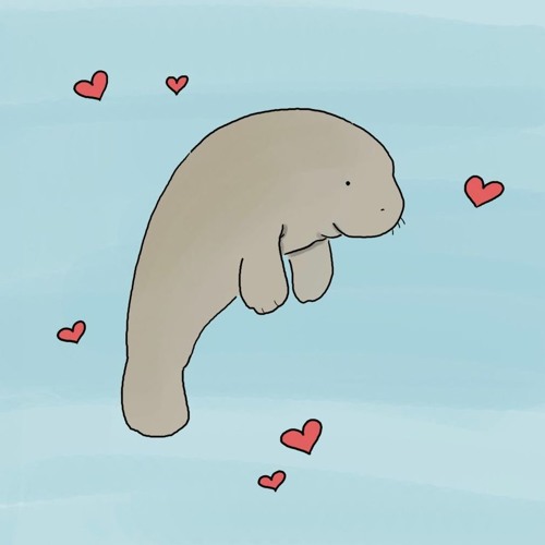 this is what having a massive crush on someone feels like