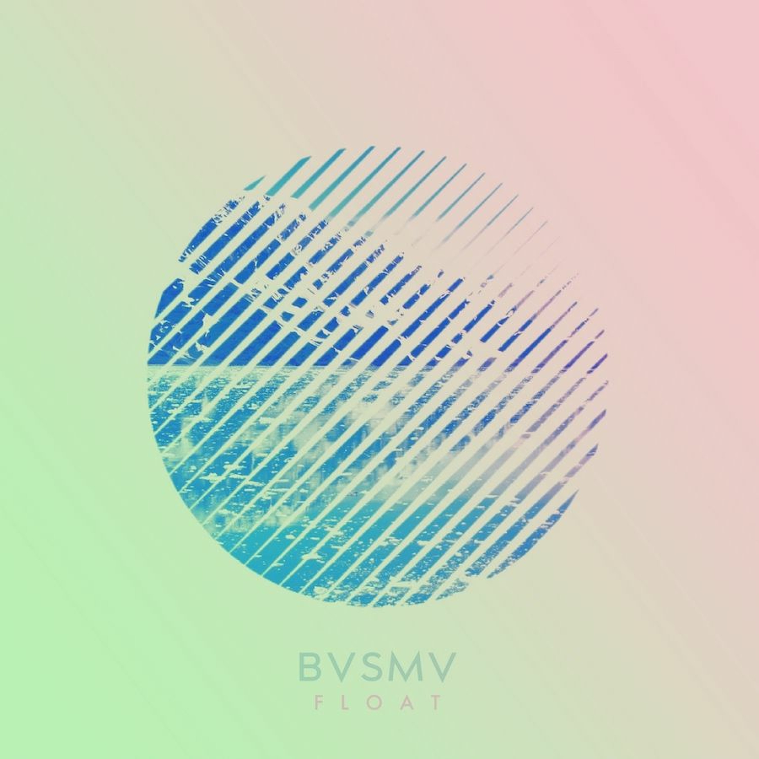 BVSMV