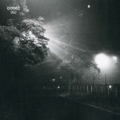 Ike Dusk - Coded Structures EP [CODEC992002]