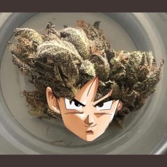 Typical Day In The Stu