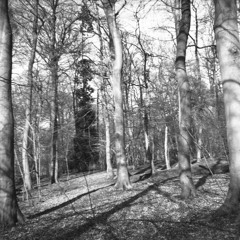 there is no saving me now