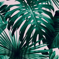 Live at bonobo - "2F deep listening lab ideala" - early morning short selection. (August 18th 2018)