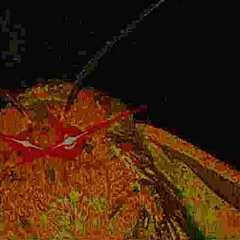 Fresh Meat (10.3.18)