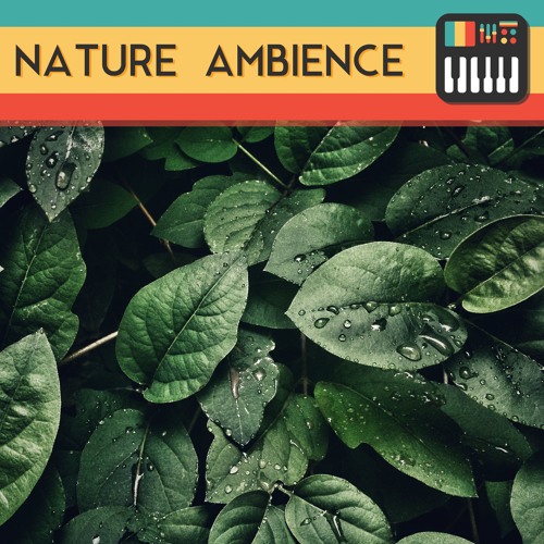 Stream 13.Ambience Example Track by That Sampling Life | Listen online ...