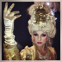 The Vinyl Sessions   Volume 1