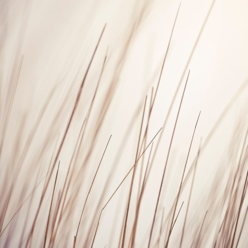 Porya Hatami - White Forest (Purl Remix)