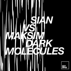 Sian, Maksim Dark-Molecules (Original Mix)