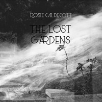 Rosie Caldecott - We Could Have A Meadow