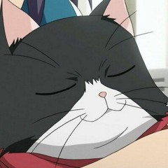 ねむねむにゃんこパラダイス