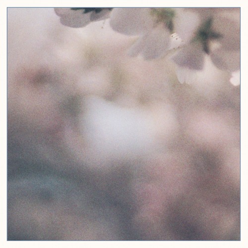 Bunraku - The Bird's Call