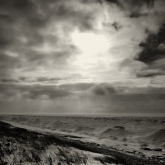 Tracks_2021_01